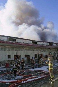 Bird_In_Hand_Fire16