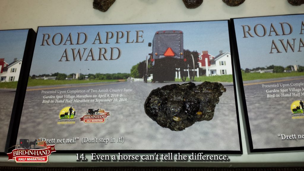 road_apple_award_story_17_slides15