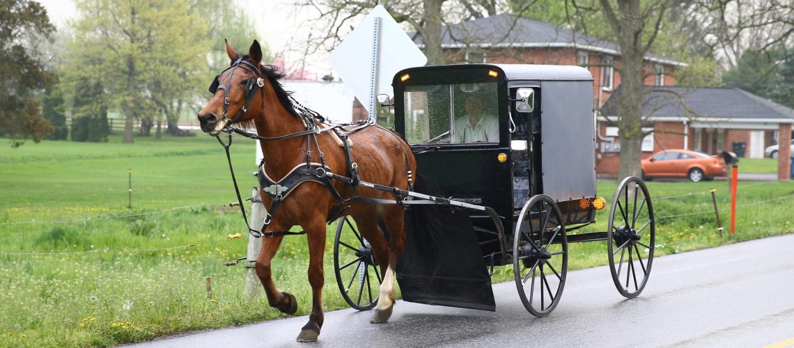 PENNSYLVANIA, USA - APRIL 30 : An Amish horse and a buggy are seen on the road in Central Pennsylvania, United States on April 30, 2017. Central Pennsylvania is home to an iconic set of plain people, the Amish. Amish people are known for their simple way of living and  refuse modern technology like electricity, central heating. They work in the fields including children, plant and harvest crops without modern farm technology. Amish women make their own long, dark-colored dresses and the men mostly grow long beards and wear hats due to their religion. Some Amish allow bicycles while others often permit the scooter instead. Farmers ride horses on their land and ride buggies in their daily lives. (Photo by Volkan Furuncu/Anadolu Agency/Getty Images)