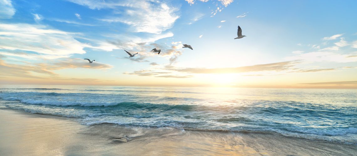 frank-mckenna-OD9EOzfSOh0-unsplash frank-mckenna-OD9EOzfSOh0-unsplash